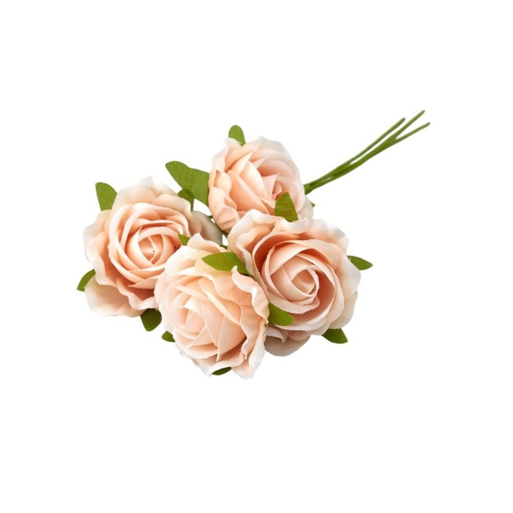 ROSA SFUMATA PESCA D4